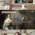 벌거벗은 세계사.E159.240709.720p-NEXT