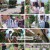 웰컴 투 장미골.E06.240709.1080p.H264-F1RST
