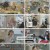 서진이네2.E03.240712.1080p.H264-F1RST
