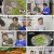 THE 맛있는 녀석들.E471.240712.1080p.H264-F1RST
