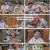토요일은 밥이 좋아.E129.240713.1080p.H264-F1RST