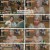 여권들고 등짝 스매싱.E07.240716.1080p.H264-F1RST