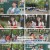 요즘 남자 라이프 - 신랑수업.E123.240717.1080p.H264-F1RST