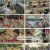 백패커2.E09.240721.1080p.H264-F1RST