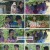 회장님네 사람들.E93.240722.1080p.H264-F1RST