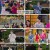 웰컴 투 장미골.E08.240723.1080p.H264-F1RST