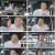 돌싱글즈 외전 - 지금 우리는.E02.240725.1080p.H264-F1RST