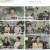 마법의 성.E03.240725.1080p.H264-F1RST