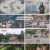 TV 동물농장.E1183.240804.1080p.H264-F1RST