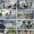 WORLD OF ARrC.E04.240807.1080p.H264-F1RST
