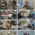 서진이네2.E07.240809.1080p.H264-F1RST