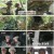 TV 동물농장.E1184.240811.1080p.H264-F1RST