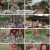 회장님네 사람들.E96.240812.1080p.H264-F1RST