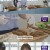 젠블루의 땀송송 데뷔탁.E03.240813.720p-NEXT