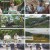 다시 갈 지도.E121.240815.1080p.H264-F1RST