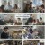 서진이네2.E08.240816.1080p.H264-F1RST