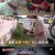 TV 동물농장.E1185.240818.720p-NEXT