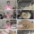 알토란.E503.240818.1080p.H264-F1RST