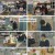 서진이네2.E09.240823.1080p.H264-F1RST