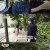놀면 뭐하니.E245.240824.720p-NEXT