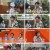 미운 우리 새끼.E406.240825.1080p.H264-F1RST