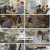 서진이네2.E10.240830.1080p.H264-F1RST