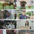 TV 동물농장.E1187.240901.1080p.H264-F1RST