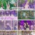 SBS 인기가요.E1238.240901.1080p.H264-F1RST