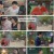 공개연애-여배우의 사생활.E04.240910.1080p.H264-F1RST