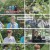보스 라이즈(BOSS RIIZE).E02.240913.1080p.H264-F1RST