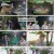 산따라물따라딴따라.최종회.E16.240914.1080p.H264-F1RST