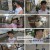 니돈내산 독박투어3.체코.E04.240914.1080p.H264-F1RST