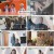 미운 우리 새끼.E409.240915.1080p.H264-F1RST