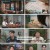 프리한19.E433.240916.1080p.H264-F1RST