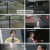 천 개의 눈.E04.240916.1080p.H265-F1RST