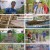 정글밥.E05.240917.1080p.H264-F1RST