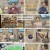 벌거벗은 세계사.E169.240917.1080p.H264-F1RST