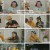 언니네 산지직송.E10.240919.1080p.H264-F1RST