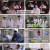 꽃길만걸어요시즌2.E12.240921.720p.H264-F1RST