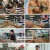 백패커2.E17.240922.1080p.H264-F1RST