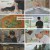 삼시세끼 Light.E02.240927.1080p.H264-F1RST