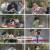 아는 형님.E452.240928.1080p.H264-F1RST
