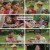 정글밥.E07.241001.1080p.H264-F1RST