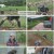 삼시세끼 Light.E03.241004.1080p.H264-F1RST