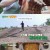 백패커2.E19.241006.720p-NEXT