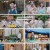 시골에 간 도시 Z.E05.241006.1080p.H264-F1RST