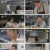 한일로맨스 혼전연애.E03.241007.1080p.H264-F1RST