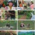 정글밥.최종.E08.241008.1080p.H264-F1RST
