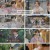 보스 라이즈(BOSS RIIZE).최종회.E06.241011.1080p.H264-F1RST