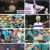 복면가왕.E469.241013.1080p.H264-F1RST